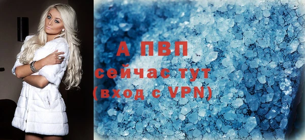 ГАЛЛЮЦИНОГЕННЫЕ ГРИБЫ Каменногорск