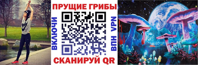 Купить где  Весьегонск  Галлюциногенные грибы GOLDEN TEACHER 